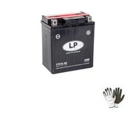 Compatible con Honda 150 SH Scoopy 2004 BATERIA YA Lista para Usar LP YTX7L-BS BATERÍAS DE 6 AMPERIOS 12 VOLTIOS ESPECÍFICAS para Bricolaje Moto Scooter 113X70X130