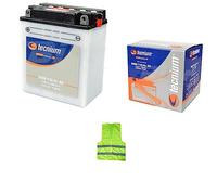 Compatible con Honda 600 XL V Transalp 1992 BATERIA YB12A-B BATERIAS TECNIUM BB12A-B 12 AMPERIOS SUMINISTRA 12VOLT ESPECIFICACION Completa 113X70X105MM
