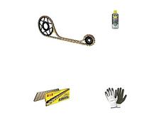 Compatible con Honda CB F Hornet (PC34) 600 2005-05 PIÑÓN Kit Cadena PIÑÓN para Motocicleta TRANSMISIÓN Did 525VX3 LUN 110 Enlaces, Corona DE Acero P525-Z42, PIÑÓN P520-Z15