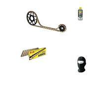 Compatible con Honda CB F Hornet (PC36) 600 2003-2006 Kit DE TRANSMISIÓN para Cadena DE Motocicleta Did 525VX3 LUN 110 Enlaces, PIÑÓN Acero P525-Z42, PIÑÓN P520-Z15 ESPECÍFICO