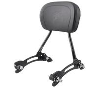 Compatible con Indian Chieftain Compatible con Roadmaster Chief Compatible con Springfield Respaldo Trasero del Pasajero Barra Sissy Desmontable