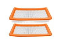 Compatible con Kärcher, Filtro De Protección De Motor HEPA | Compatible con DS6 Premium DS5600 Puzzi 30/4 E BR45/22, filtro de motor HEPA, atrapa el polvo.