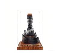 Compatible con la Vitrina acrílica LE-GO 10333 El Señor de los Anillos: Baradou, Ideal para Guardar, exhibir y coleccionar a Prueba de Polvo. Compatible con LE-GO 10333 (Modelo no Incluido).d