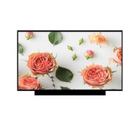 Compatible con Lenovo For ThinkPad T490 T490s 20Q9 20QH 20N2 20N3 20RX 20RY 20NX 20NY 14.0 "FHD IPS LCD Panel De Visualización De Pantalla Táctil For Portátil