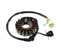 Compatible con Loncin VOGE Valico 300R/RR/AC/GY/DS Rally 300 300AC 300DS LONCIN CR6 LX300-6A Generador de motocicleta Magneto Estator Bobina