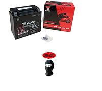 Compatible con moto Guzzi V7 III Stone (LD000) 750 del 2017 al 2017 Batería ya lista para su uso Yuasa YTX14 baterías 12 Amperios 12 V 150 x 87 x 147 mm separador AGM carga