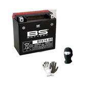 Compatible con Moto Guzzi V7 Special - Stone 750 dal 2012 al 2014 BATERIA YTX14-BS YA Lista Y CARGADA para Uso BATERIAS ACTIVAS 12,6 AH AMPERIOS 12 VOLTIOS 150X145X87MM