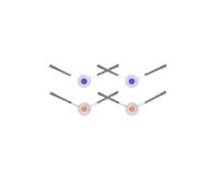 Compatible Con Narwal, Freo X Ultra/Freo X Plus, Piezas De Robot Aspirador, Filtro De Cepillo Lateral, Almohadilla De Fregona, Accesorios De Repuesto(Set A)