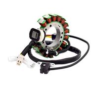 Compatible Con Para Yfm350x Yfm350 Warrior 350 1996 1997 1998 1999 2000 2001 Bobina Del Estator Del Generador De Motocicleta Comp 3HN-85510-10-00 Magneto Estator Bobina