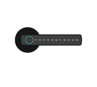 Compatible con RAYKUBE M5 Tuya BLE Cerradura de puerta inteligente con huella digital Cerradura electrónica digital con contraseña/llave/tarjeta IC(M5 Black)