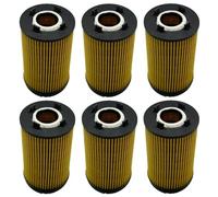 Compatible con Ssangyong Korando 2.0L Gasolina 2012. OEM: 1721840025 17218-03009 1721803009 Filtro de aceite(6 pcs)
