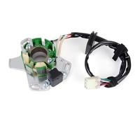 Compatible Con Suzuki Para RM125 2002 2003 2004 Piezas De Motor De Motocicleta Generador Magneto Estator Bobina De Encendido De Motocicleta Estator 32101-36F10 Bobina Magneto Estator