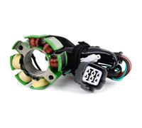 Compatible Con Suzuki Para RMZ250 2005 2006 Bobina De Estator Magnético De Motocicleta K2100-30027 Piezas De Bobina De Estator De Generador De Motocicleta K2100-30048 Bobina Magneto Estator