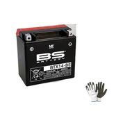 Compatible con Suzuki SV 1000 2003-2007 BATERIA BS BTX14-BS (SELLADA Y Lista para Instalar) 12V/12AH YUASA YTX14-BS BATERIAS Moto Scooter 150X87X145MM