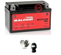 Compatible con Suzuki UC Epicuro 150 de 1999 a 2003. Batería de gel Malossi MTX7A-BS lista para su uso activo, precargada en fábrica baterías de 6 Ah, 12 V