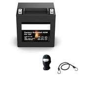 Compatible con Suzuki VL Intruder 1500 anno 2002 BATERIA BOSCH M60210 YTX16-BS-1 BATERIAS Selladas para Moto 14AH AMPERIOS 12VOLT Completa Lista para Usar 150X87X161MM