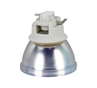 Compatible con Viewsonic PA500S PA500X PA502SE PA502XE PA503S PA503SP PA503X Lámpara de Repuesto for proyector RLC-108(RLC-108-CB)