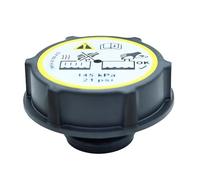 Compatible Con Volvo S40 V50 5M5H8K218AA 3M5H8100AD Auto Depósito Expansión