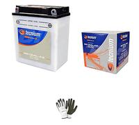 Compatible con Yamaha FZR 600 1991 A 1993 Batería ya lista para usar YB12AL-A2 12 V 12 Ah Baterías 12 A 12 V 12 V Específica Moto Scooter 134 x 80 x 160 mm