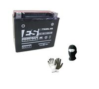 Compatible con Yamaha YFM FWAP Grizzly 660 AÑO 2002 al 2008 BATERÍA YTX20L-BS ENERGYSAFE ESTX20L-BS YA CARGADA para SU Uso BATERÍAS 18AH 12V 250AEN 177X88X156MM