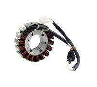 Compatible con Yamaha YZF R6 1999-2002 Compatible con la bobina del generador del estator del motor magneto de la motocicleta Champion Limited Edition
