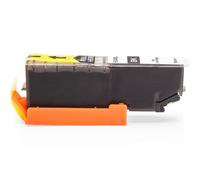 Compatible Epson C13T24314010 / C13T24314012 / 24 XL Cartucho de tinta Negro