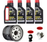 COMPATIBLES con Benelli TRK 702-X Servicio-Mantenimiento Motor Completo Cambio Aceite/LUBRICANTE 5000 10W40 4 Tiempos con TECNOLOGÍA HC-Tech + Filtro DE Aceite DIY
