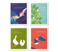 Compendium Positively Green - Paquete de 4 tarjetas de la amistad, pares perfectos (cuatro diseños diferentes, una tarjeta cada uno, con sobres)