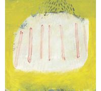 Compilation - A Short Illness from Which He Never Reco [Vinilo]