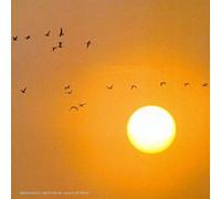 Compilation - Ballades Nocturnes