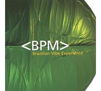 Compilation - Brazilian Vibe Experience