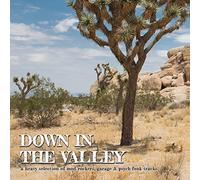 Compilation - Down in the Valley [Vinilo]