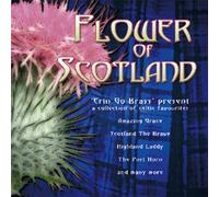 Compilation - Flower Of Scotland