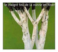 Compilation - Le Maigre Feu De La Nonne En Hiver