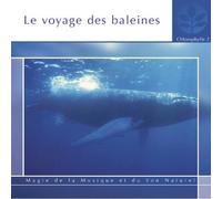 Compilation - Le Voyage Des Baleines