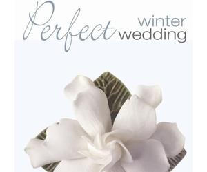 Compilation - Perfect winter wedding perfect winter wedding
