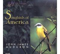 Compilation - Song Birds Of America