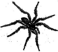 Compilation - Tarantismo: Odyssey of an Italian Ritual [Vinilo]