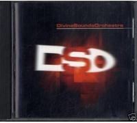 Compilation - The Divine Sound Orchestra