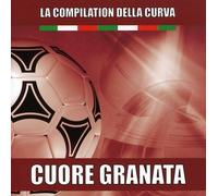 Compilation - Torino-La Compilation Della Curva