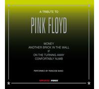 Compilation - Tribute to Pink Floyd