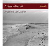 Varios artistas – Bridges to Beyond – NAXOS