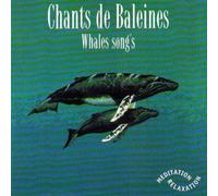 Compilation - Whale Songs (Plus Beaux Chants [Import]