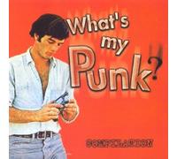 Compilation - What's My Punk