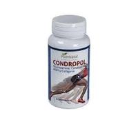 Complejo de Condroitina, Glucosamina y MSM | Formato 120 comprimidos (Pack de 2x60 comprimidos) | Insumo de Especialización | Presentación en Envase de Protección