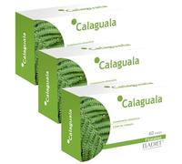 Complemento Alimenticio de Calaguala - 60 Comprimidos - Contribuye a Mejorar el Estado de la Piel - Ayuda a Depurar tu Organismo - Efecto Antioxidante - Eladiet, 60 unidad, 1 (Paquete de 3)