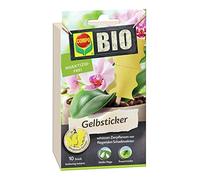 COMPO 10 Pegatinas Amarillas ecológicas, trampas de Pegamento con Barras de | Ideal como trampa para moscas, atrapa mosquitos de luto y otras plagas voladoras, se coloca de forma decorativa en la maceta