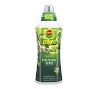 Compo - Fertilizante líquido para Plantas de Hoja Verde - Tamaño del envase 9 x 7,9 x 28 cm