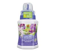 COMPO Fertilizante Orquídeas con guano, Para plantas sensibles, 250 ml | Abono órgano mineral específico para orquídeas con microelementos esenciales, flores abundantes y sanas
