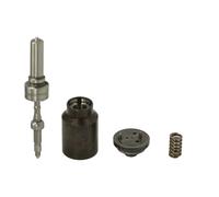 Componentes de inyectores Common Rail DELPHI 28429290